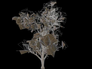 broadleaf 001 3D Model