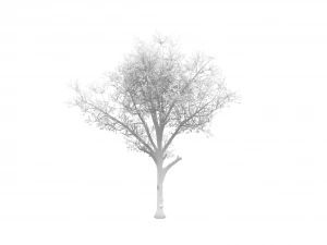 broadleaf002 3D Model
