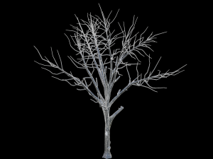 broadleaf002 Model 3D