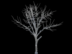 broadleaf002 3D Model