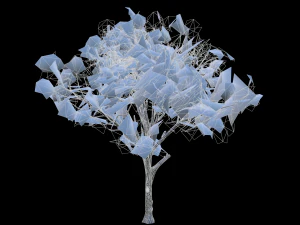 broadleaf002 3D Model