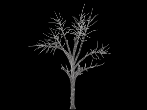 broadleaf 002 3D Модель