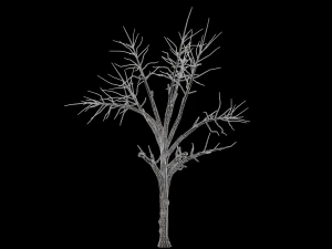 broadleaf 002 3D Model