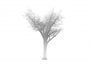 broadleaf 004 3D Model