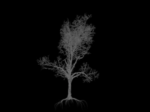 broadleaf 005 3D Model