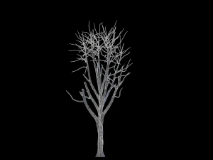broadleaf 006 3D Model
