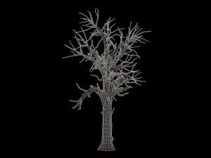 broadleaf 007 3D Model