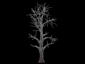 folha larga 008 Modelo 3D