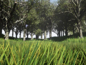 tree collection 001 3D Model