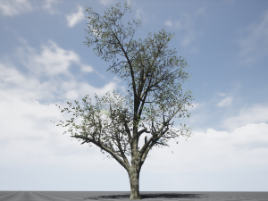 tree collection 001 Model 3D