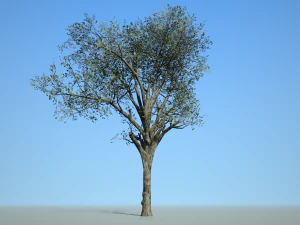 tree collection 001 3D Model