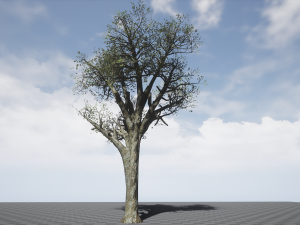 tree collection 001 Model 3D