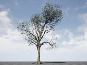tree collection 001 Model 3D