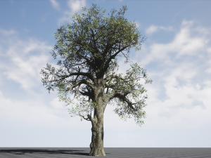 tree collection 001 Model 3D