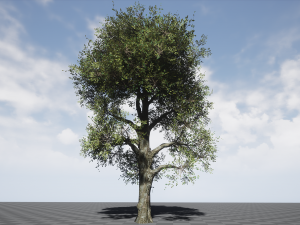 tree collection 001 Model 3D