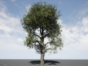 tree collection 001 3D Model