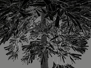conifer tree 002 3D Model