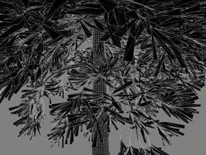 conifer tree 002 3D Model