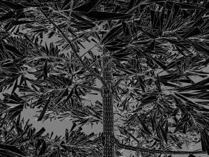 conifer tree 002 3D Model