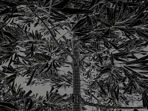 conifer tree 002 3D Model
