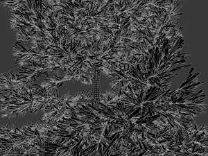 conifer tree 003 3Dモデル