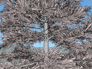 conifer tree 004 Modello 3D
