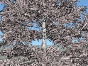 conifer tree 004 3D Model