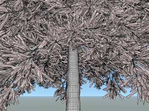 conifer tree 005 3D Model
