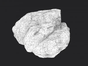 rock 16-3 3D Model