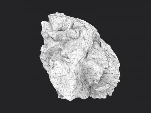 rock 16-6 3D Model