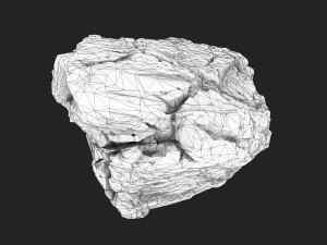 rock 16-10 3D Model