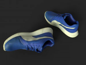pair of sneakers 3D Model