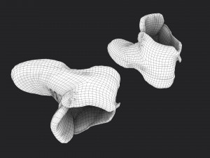 boots 3D Model