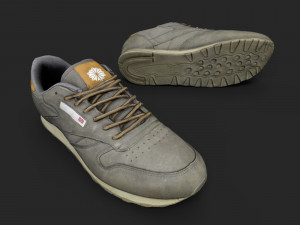 sneakers 3D Model