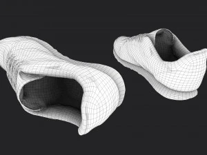 sneakers 3D Model