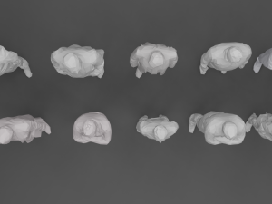 10 low poly people collection vol 8 3D Model