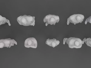 10 low poly people collection vol 8 3D Model