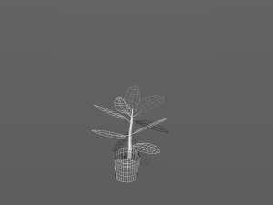 rubber plant vr-ar game ready highly detailed 3D मॉडल