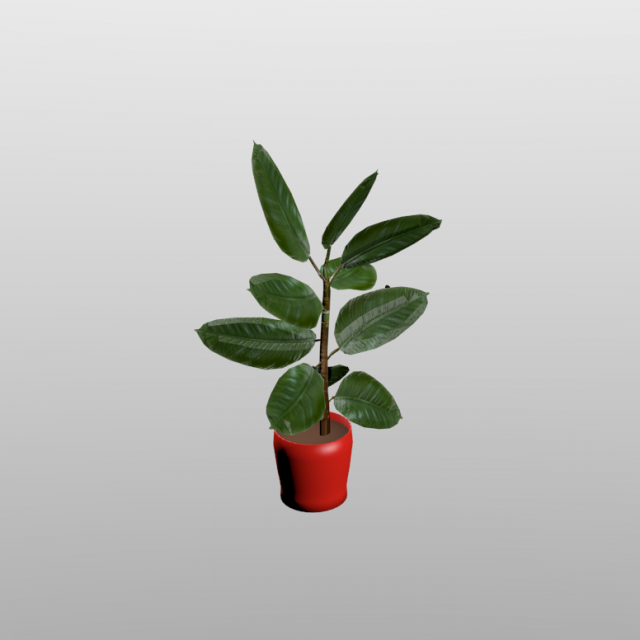 rubber plant vr-ar game ready highly detailed 3D मॉडल .c4d .max .obj .3ds .fbx .stl .blend