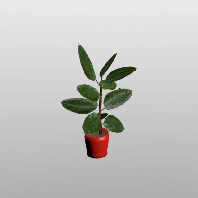 rubber plant vr-ar game ready highly detailed 3D Model .c4d .max .obj .3ds .fbx .stl .blend