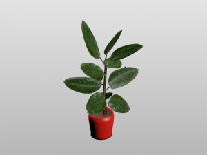 rubber plant vr-ar game ready highly detailed 3D Model