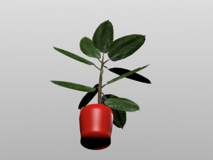 rubber plant vr-ar game ready highly detailed 3D मॉडल