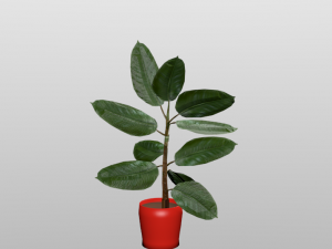 rubber plant vr-ar game ready highly detailed 3D मॉडल