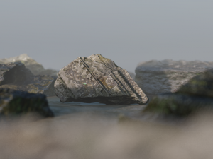 scanstone01 3D Модель