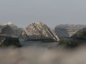 scanstone01 3D Model