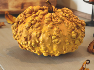 005 Pumpkin 3Dモデル