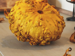 005 Pumpkin 3D-Modell