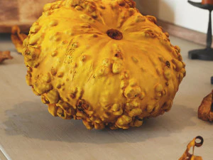 005 Ab&oacute;bora Modelo 3D