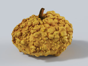 005 Pumpkin 3D-Modell
