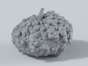 005 Pumpkin 3D-Modell